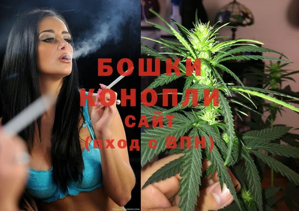 твердый Надым