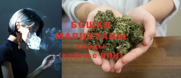твердый Надым