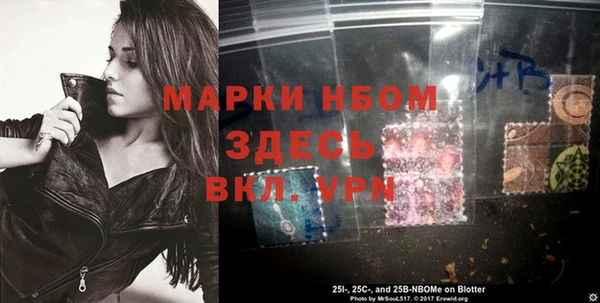индика Алагир