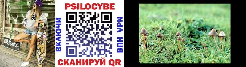 Псилоцибиновые грибы MAGIC MUSHROOMS  mega рабочий сайт  Отрадный  купить наркотик 